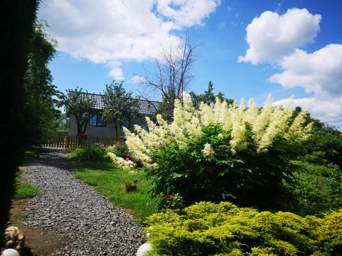 Agroturystyka U Kozdryka Leśna Buitenkant foto