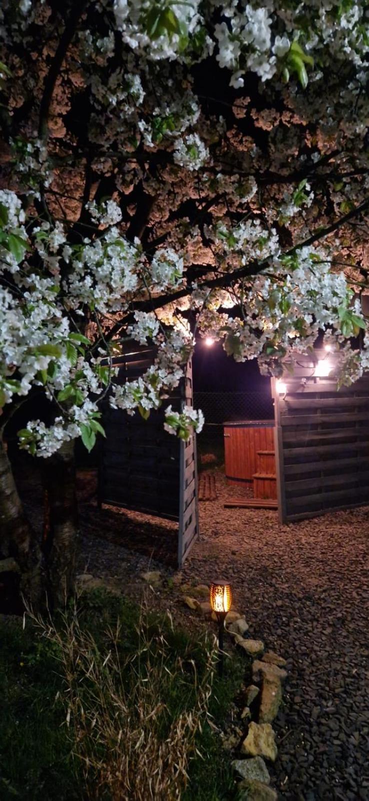 Agroturystyka U Kozdryka Leśna Buitenkant foto